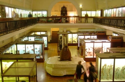 Museo Horniman, museo del Mundo en Londres
